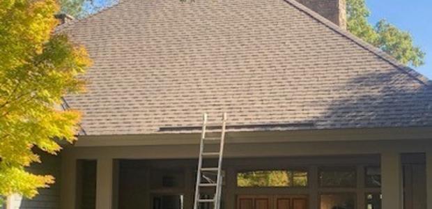 Roof Cleaning